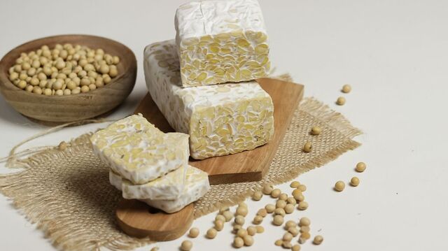 fermentasi tempe